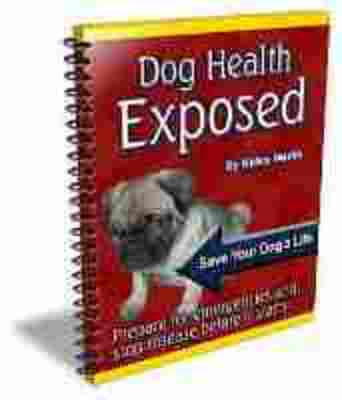 Product picture Handbook For Imperfect Dog Owners  - PLR Rights Included
